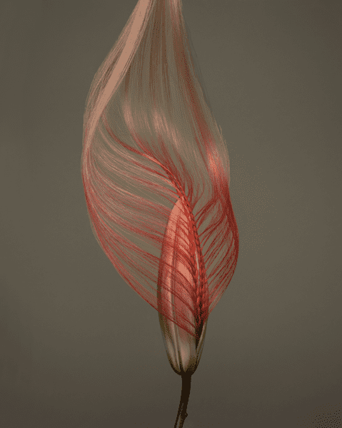 beauty papers editorial brigitte niedermair olivier schawalder hair les artists by Josef Stockinger creative agency